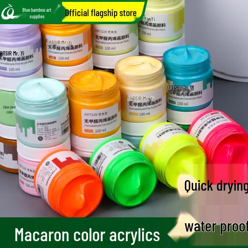 CHINJOO Macaron Acrylic Paint for DIY Crafts 300ml