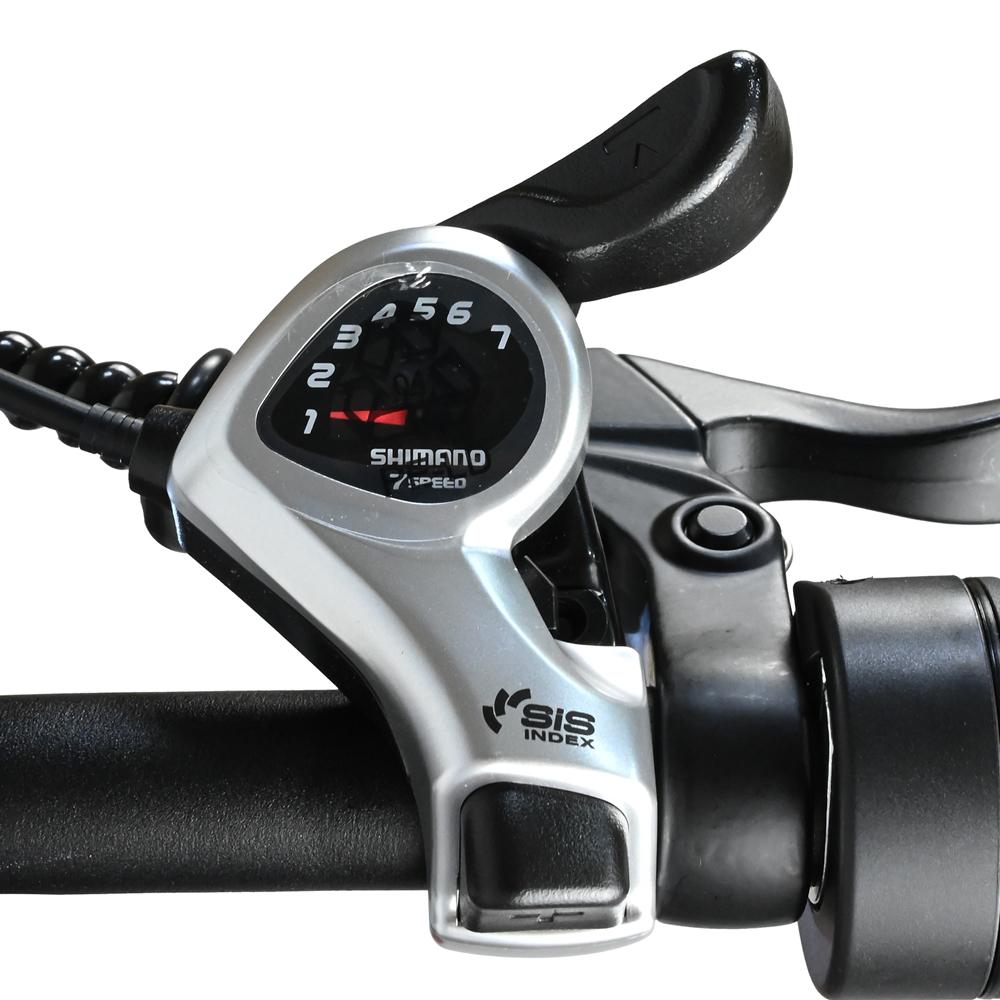 BAOLUJIE DP-2619 Speichenrad Erwachsenen Elektrofahrrad 750W Motor 48V13AH Batterie 26*4 Zoll Fat Tire E-Bike Mountain Offroad Elektrofahrrad