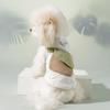 Ropa y calzado – Chalecos y camisas para perros