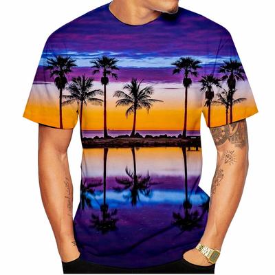 Summer Round Neck 3D Hawaiian Scenery Print Top Fashionable Casual Short Sleeved Men's T-shirts