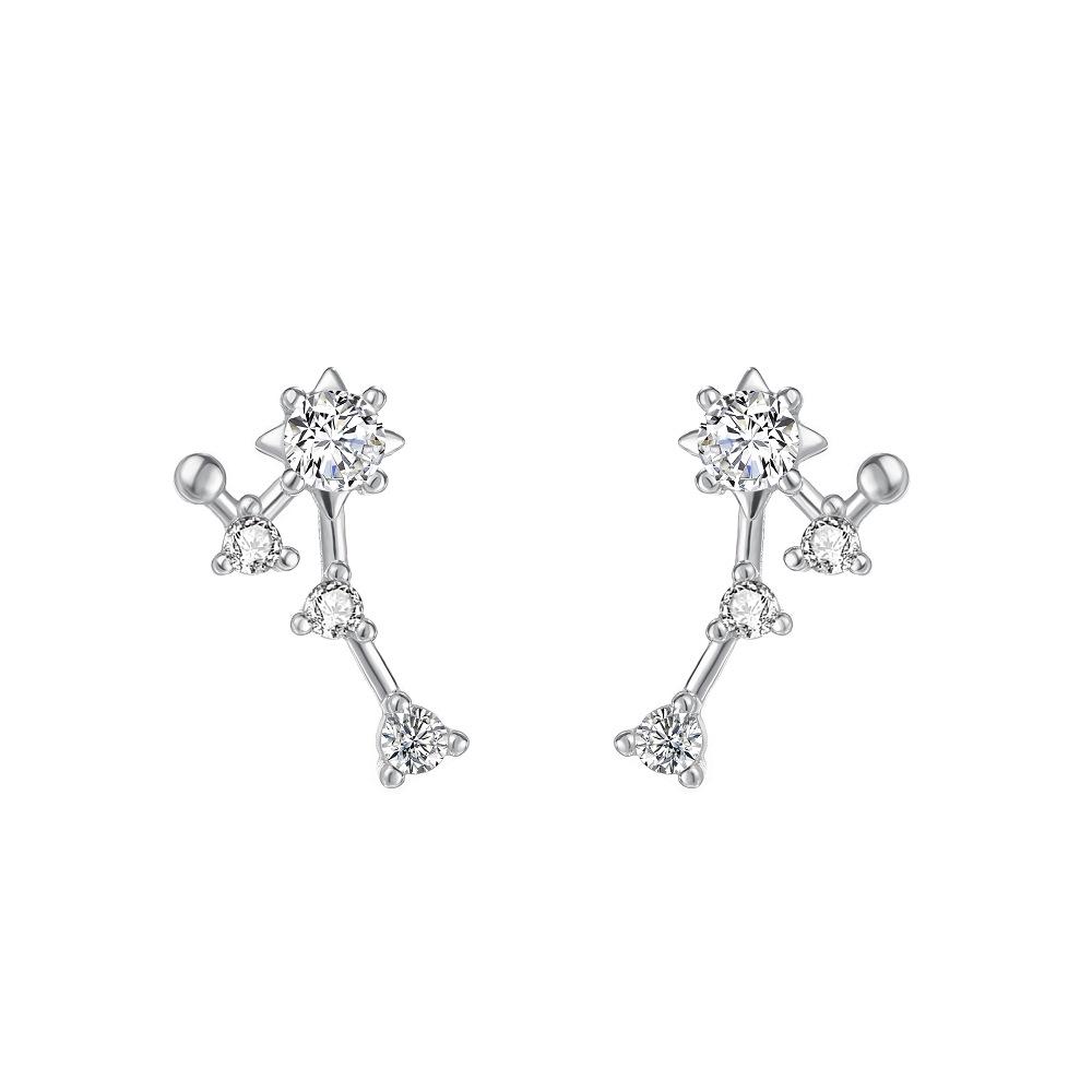 Korean Fashion Twelve Constellation Earrings for Women S925 Sterling Silver Exquisite Sparkling Zircon Earrings