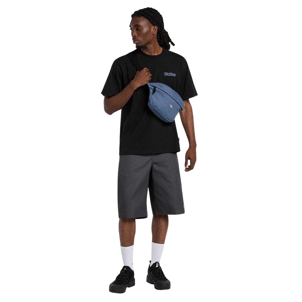 Dickies Mens Graphic Print T-Shirt