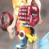 Anime One Piece Figures Fourth Gear Ape King Luffy Figure Model Scene PVC Desktop Toy Model Ornaments Gift