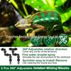 Rainforest Atomizer Spray System for Reptiles - Low Noise