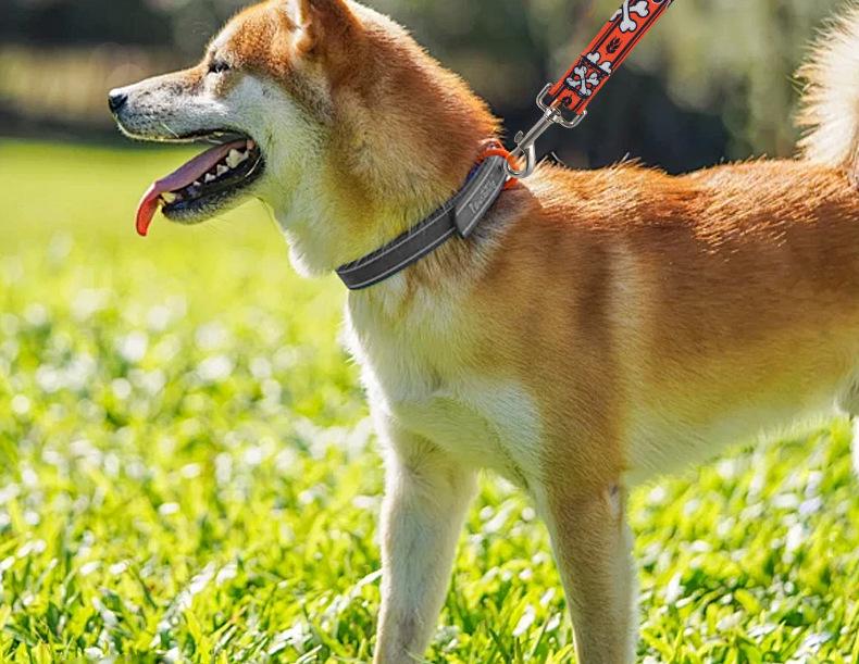 Polyester Printed Dog Leash with Logo - Explosion-Proof, Large Dog Traction Rope