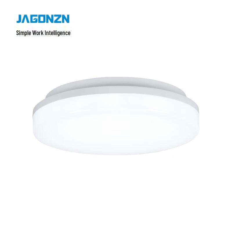 JAGONZN GL-02E(X) 30W Professional LED Ceiling Light