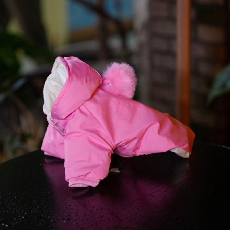 

Dog clothes two feet autumn and winter clothes new foot clothes small dog trend dog fleece hooded model go out to keep warm 3XL-chest 60 back length 50 [about 17-21]