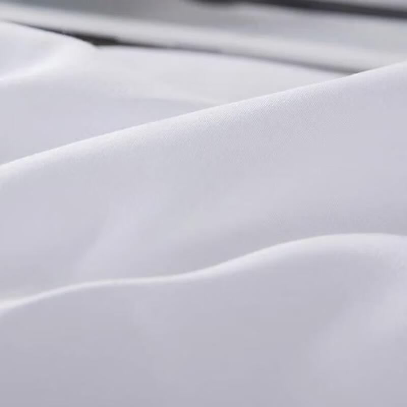 Mengjie Class A Antibacterial All-Season Quilt