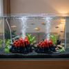 Natural Style Volcano Oxygen Pump Decor Resin Fish Tank Air Pump Volcano  Mini Aquarium