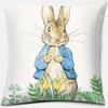Cute Cartoon Rabbit Printing Series Pattern Pillowcase Square Pillowcase Home Office Decoration Pillowcase