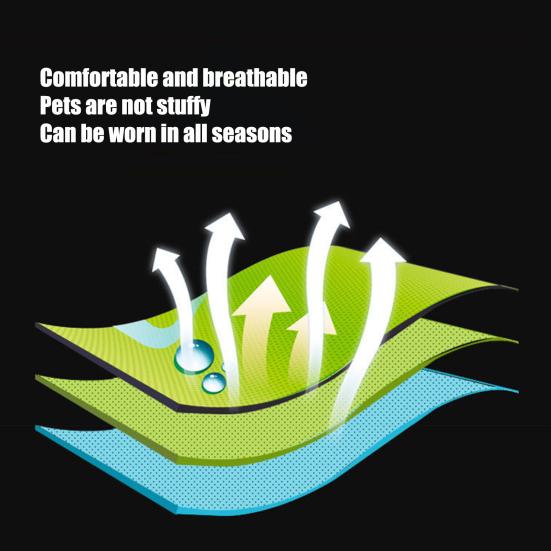 Kaninchenleine Cartoonmuster Klettverschluss Anziehen Häschen Kätzchen Kostüm Hemd Rock für Kleintier