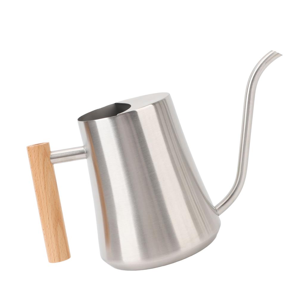 Indoor Watering Can Stainless Steel Wooden Handle Watering Pot with Spout for House Plants Flowers Succulents Bonsai 1L