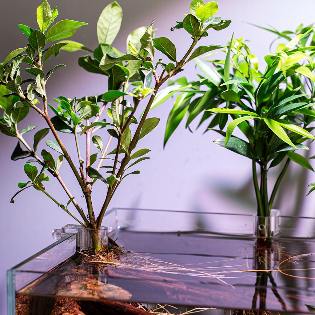 Transparent Aquarium Plant Holder Hanging Fish Tank Plant Pot Plant Growth Tool for Plant Cultivation Aquarium Decor