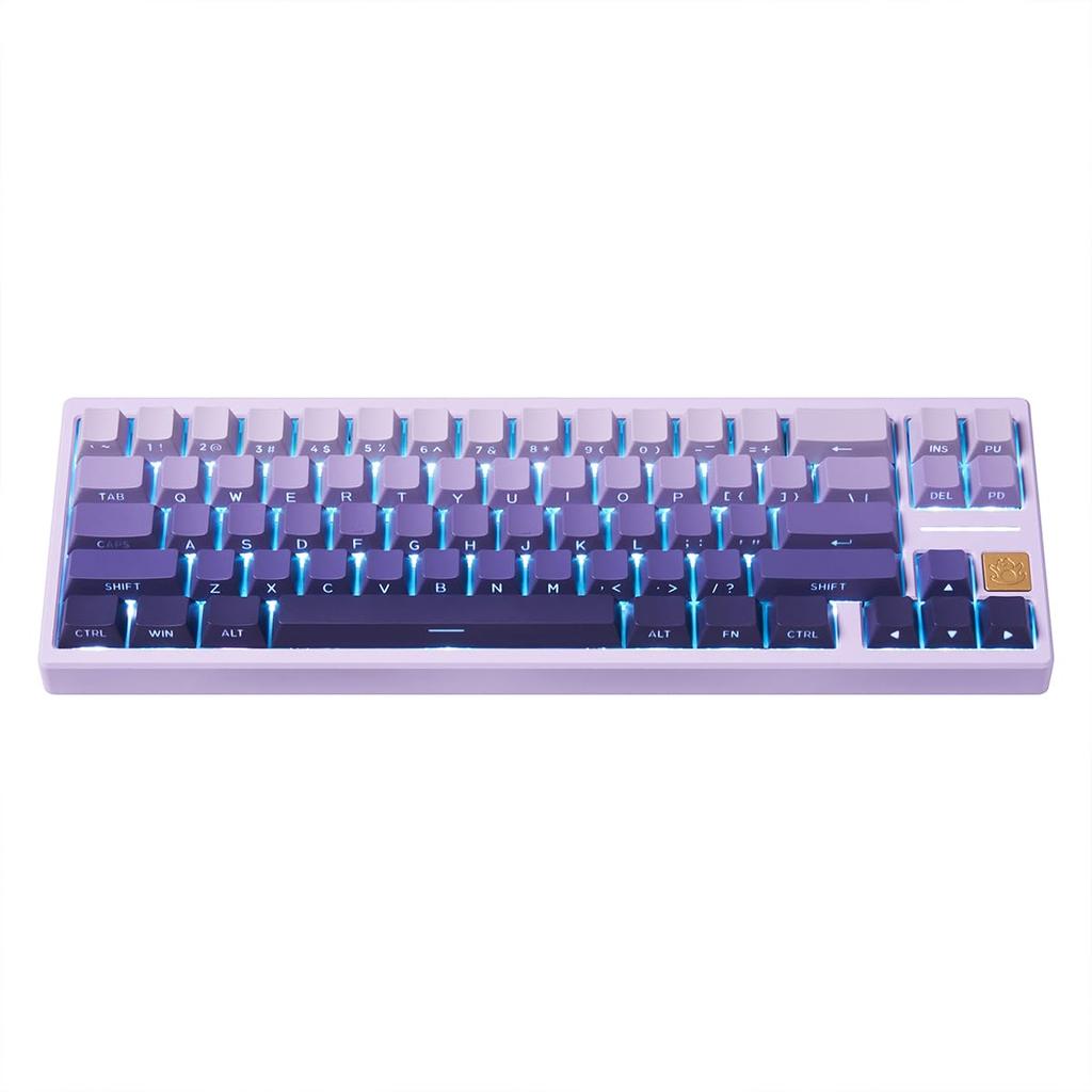 PBT Double Shot Keycaps for Mechanical Keyboards, 134 Key Gradient Purple Backlit OEM Profile Keycaps with Side Print Shine-Through Custom Keyboard
