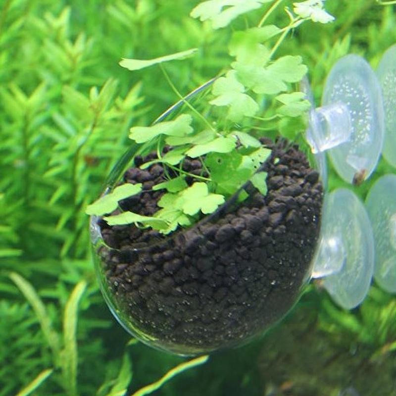 Acvariu ghiveci de plante, sticlă cilindrică, cupă cu ventuze pentru cultivarea semințelor de plante acvatice, mușchi de corali, accesoriu de decorare a rezervorului de pește