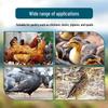 Automatic Poultry Waterer: Large Chicken, Duck, and Pigeon Drinking Bowl