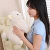 Realistic Pomeranian Plush Dog Toy Soft Fluffy Puppy Stuffed Animal Doll for Adult Birthday Christmas Home Decor Gift