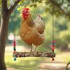 Păsări – Jucării pentru păsări