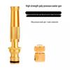 Gureide High-Pressure Brass Water Gun & Hose Kit