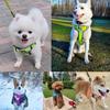 Dog Authorized in Dog Pet Harness 3M Reflective For and Large Adjustable Light cocomall, Low-stress Harness, Japan, Harness, Supplies, Lead, Material,