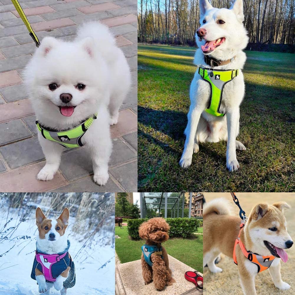 Dog Authorized in Dog Pet Harness 3M Reflective For and Large Adjustable Light cocomall, Low-stress Harness, Japan, Harness, Supplies, Lead, Material,