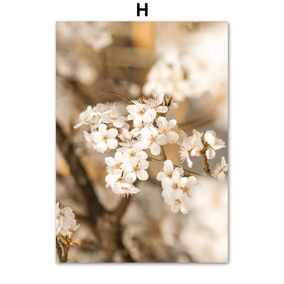 Autumn Bridge Lake Forest Wheat Grass Fall Posters Prints Canvas Painting Nordic Wall Art Pictures For Living Room Home Decor