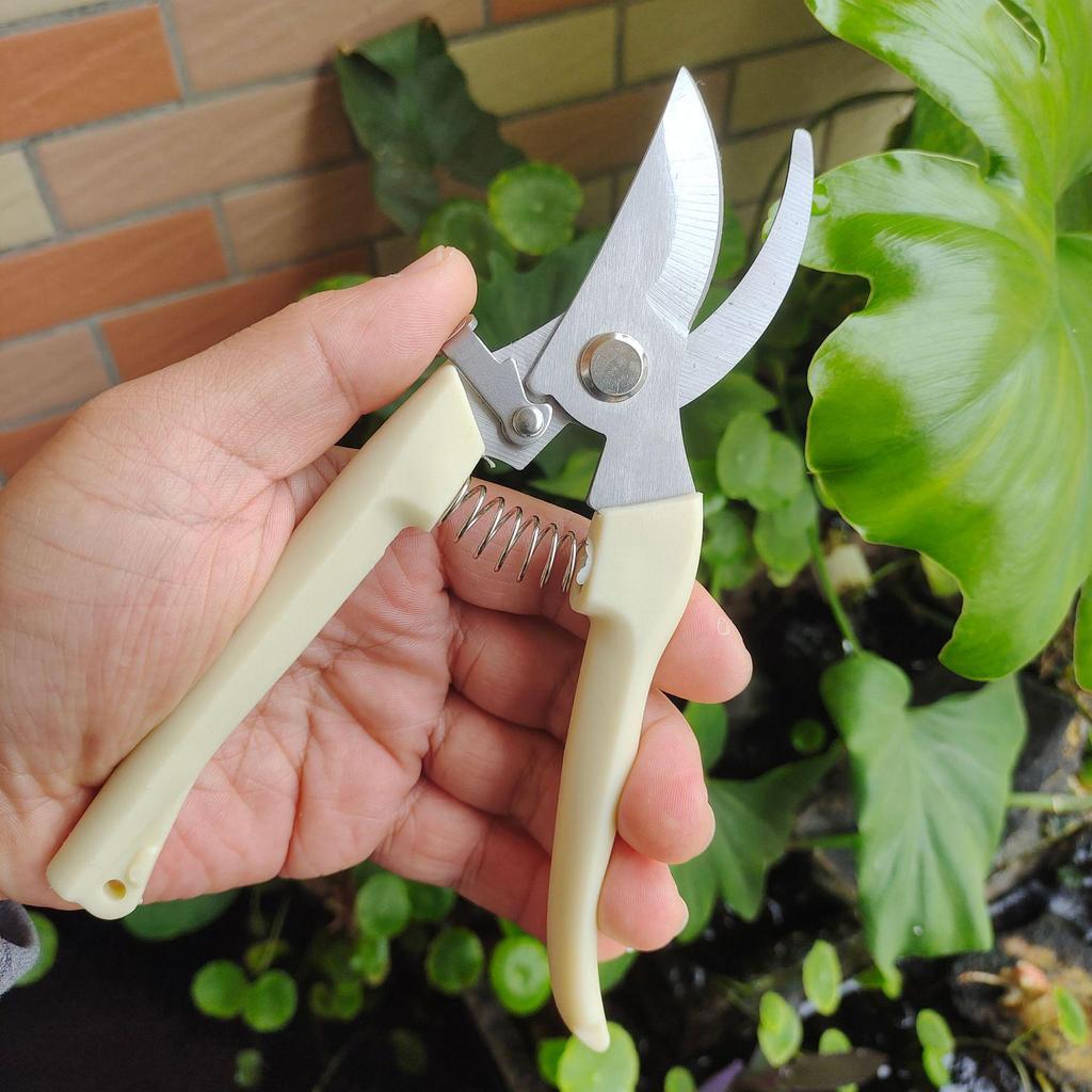 Handmade Pruning Shears: Floral Art & Garden Tools for Fruit Trees