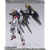 Bandai Mobile Suit Gundam SEED METAL BUILD Lightning Striker (MS Body Sold Separately)