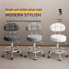 Rotating Hair Salon Barber Chair with Casters