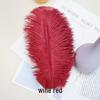 White Ostrich Feathers 15-80cm for Lighting, Wedding Aisle Decor, Photo Props, and Vase Ornaments