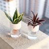 Transparent Imitation Glass Hydroponic Flower Pot for Home Indoor Desktop Mini Soilless Cultivation Creative Green Plant Plantin