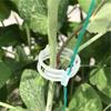 100/200/300/400/500Pcs Garden Plant Support Clips Grape Tomato Ties Vegetable Vine Stem Fixing Clip Cucumber Flower Squash Vine