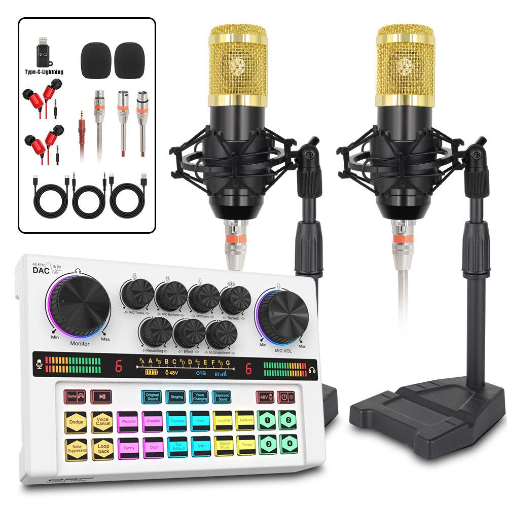 Y200 48V Zvuková karta & Rameno s mikrofonem pro živé vysílání & Podcasting