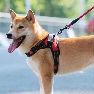 Ayarlanabilir Köpek Koşum Yeleği Evcil Hayvan Tasması 150cm Küçükten Büyüğe Köpekler İçin Güçlü Yansıtıcı Tasma Çekme Çekme Çekme