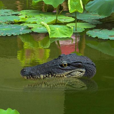Simulated Crocodile Head Animal Decoration Yard Pond Pool Decoration Decoration Floating Outdoor Animal Simulation W9V5
