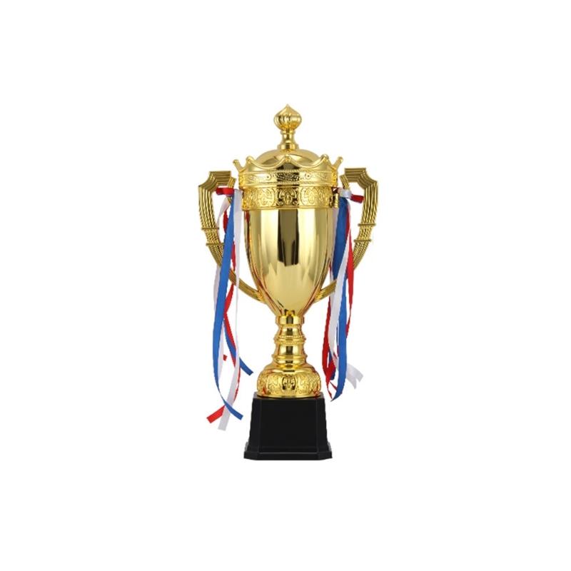 

Sturdy Stainless Steel Sports Award Trophies Cup with Ribbons Portable for School Competitions and Home Decoration