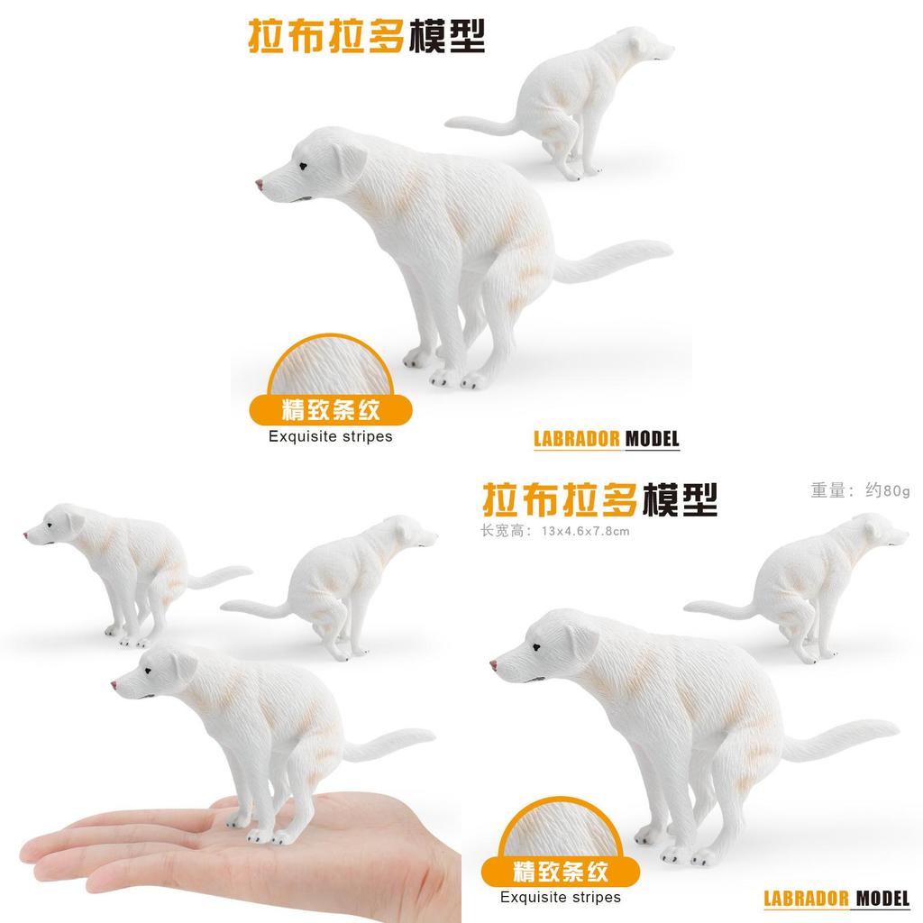 Labrador Retriever Dog Model Pvc Sculpture For Kids Gift And Animal Enthusiast Collectors