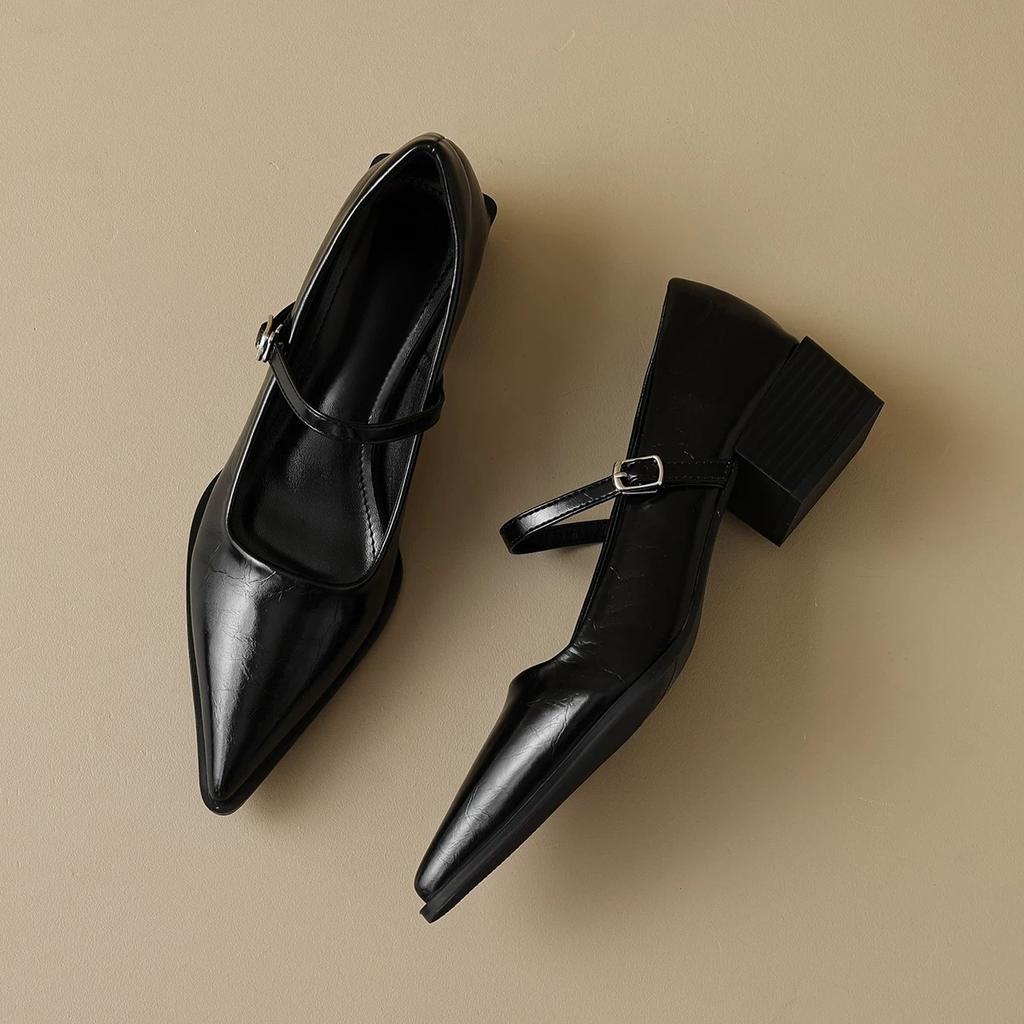Woman Fashion Pointy Mary Jane Shoes 2025 Spring New Elegant Pumps Female Sexy Pointed Toe High Heels Thick Heel Party Shoes