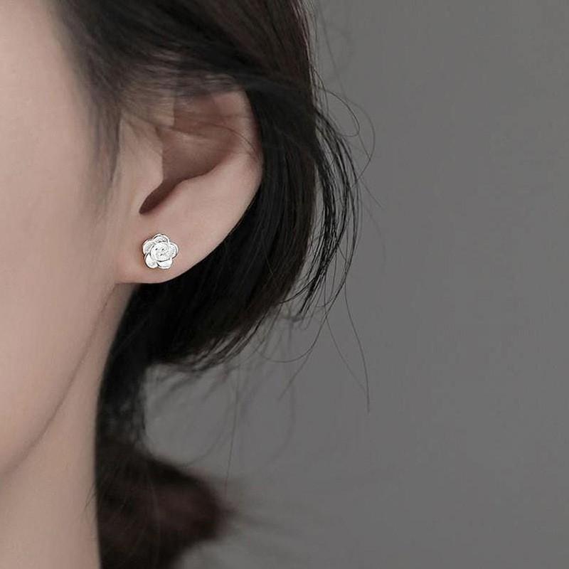 High-end Temperament Silver Earrings for Women
