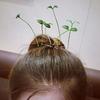 1Pair Simulation Bean Sprout Hair Clip Mushroom Cartoon Duckbill Clips Flower Plant Hairpins  Daily