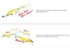 Megabass X-Nanahan +1 75 mm 1/4 oz Floating Lure Mat Tiger (1470)