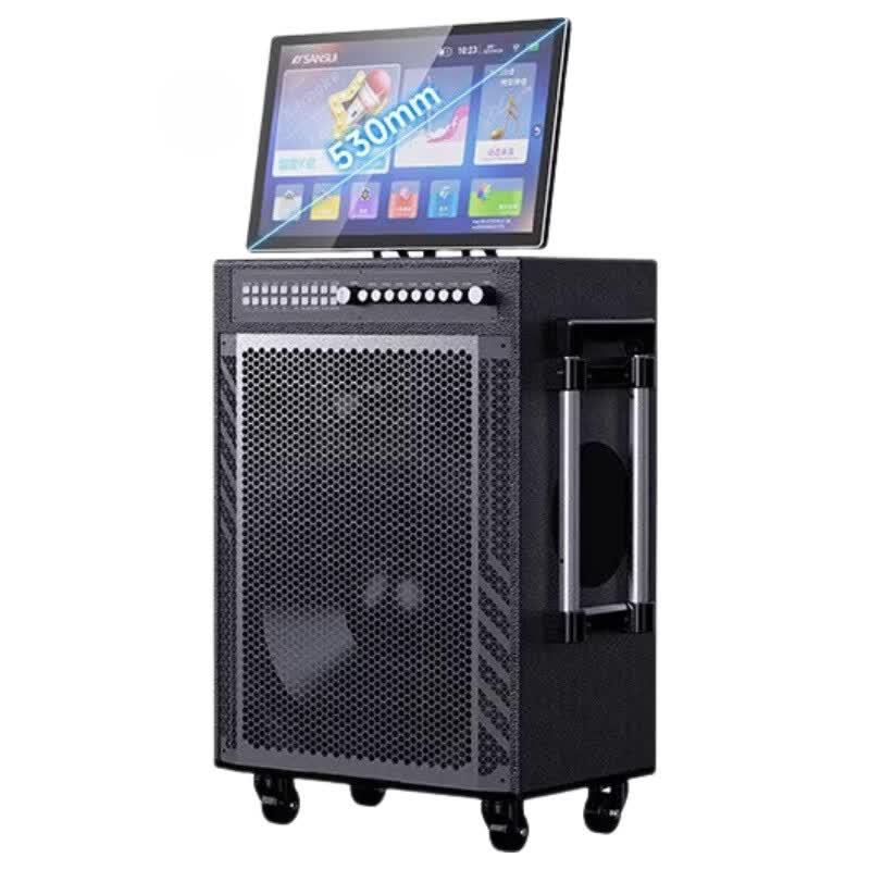 SANSUI TD159 15-inch All-in-One KTV Video Speaker (CN version)