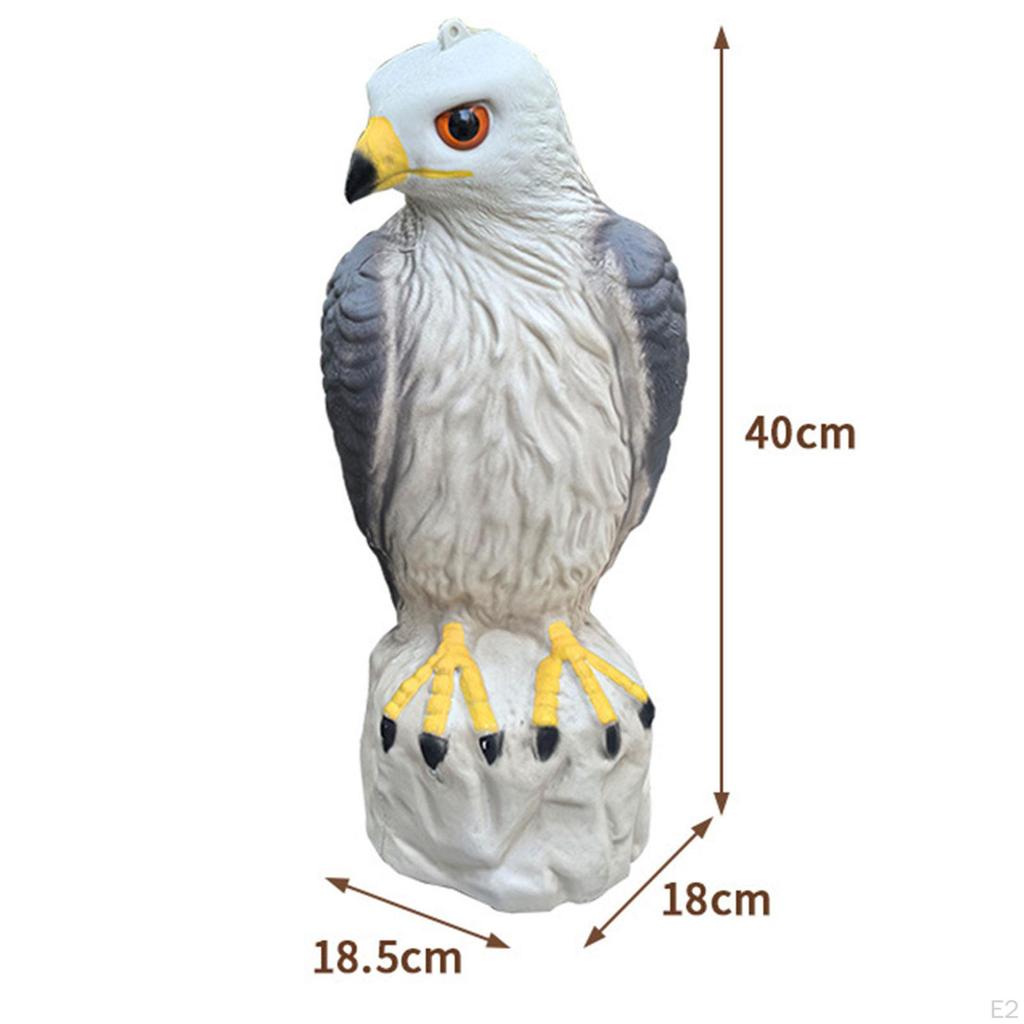 Garden Eagle Ornament Simulated Realistic Versatile Craft Bird Repellent Decoration Deterrent