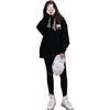 Li-Ning Sweatshirts Unisex Hooded Moderate Regular LWDS001-1