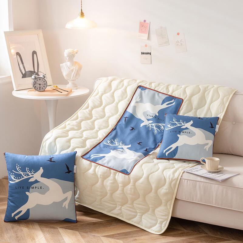 Yalu Plush Printed Pillow Quilt