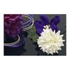 SOUBIEN Hair Accessories for Graduation Ceremonies and Coming-of-Age Ceremonies, 2-Piece Tsumami Zaiku Set with Chrysanthemum, Ping Pong Mum,