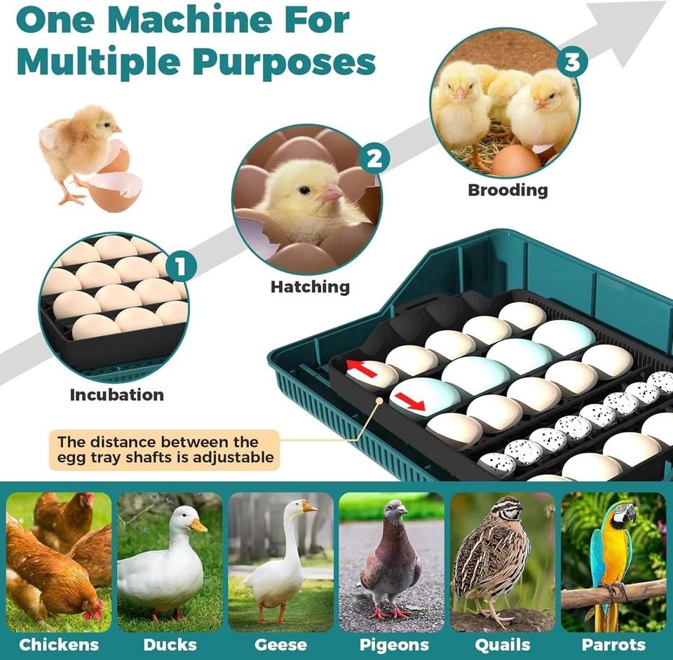 25 Egg Digital Incubator Fully Automatic Hatching Machine Automatic Water Supply