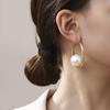 Popular Simple Temperament Pearl Circle Earrings Fashionable Metal Wind Earrings 2025 Autumn and Winter Ear Jewelry