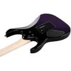 Ibanez Ibanez RG Series Double Rock Tremolo Electric Guitar [Tokyo Midnight] RG470DX-TMN