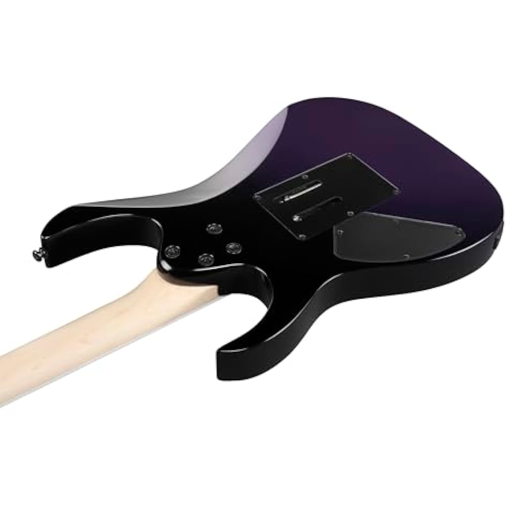 Ibanez Ibanez RG Series Double Rock Tremolo Electric Guitar [Tokyo Midnight] RG470DX-TMN